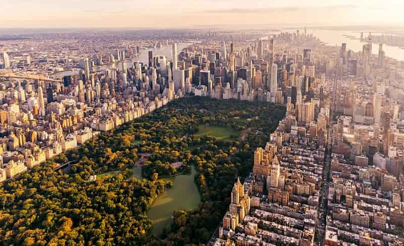 How to Survive New&nbsp;York